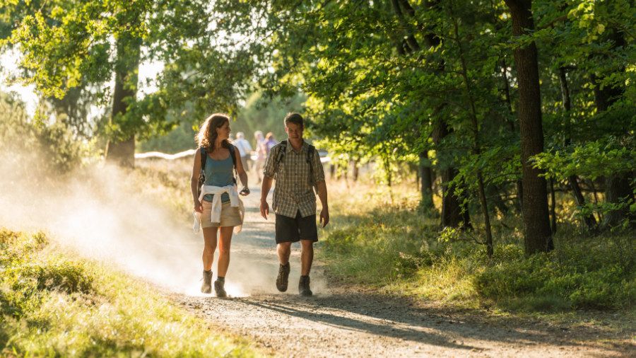 Zwei Wanderer gehen auf einem schmalen Pfad durch einen mit Sonnenstrahlen, die durch die Blätter scheinen.