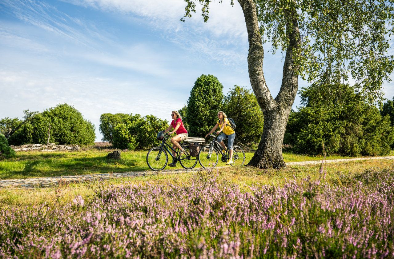 Zwei Radfahrerinnen auf der Heidekreistour radwandern durch blühende Lüneburger Heide unter blauem Himmel