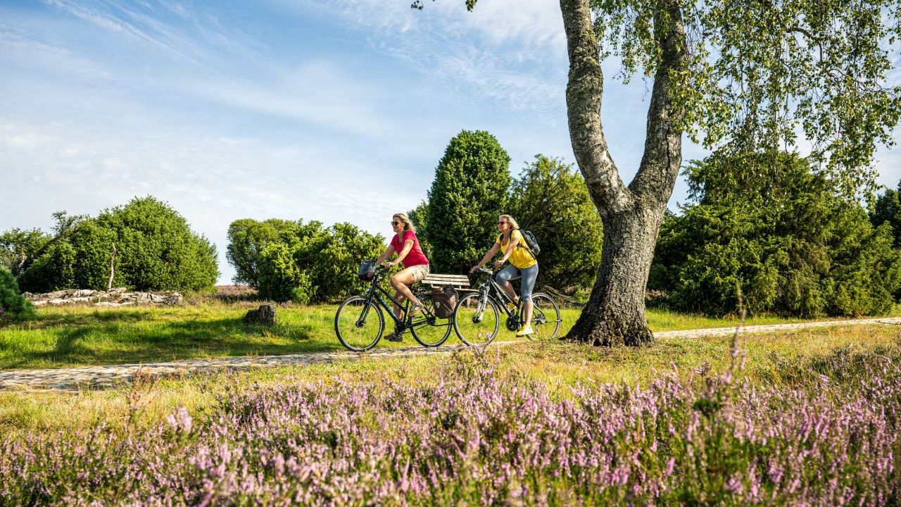 Zwei Radfahrerinnen auf der Heidekreistour radwandern durch blühende Lüneburger Heide unter blauem Himmel