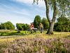 Zwei Radfahrerinnen auf der Heidekreistour radwandern durch blühende Lüneburger Heide unter blauem Himmel