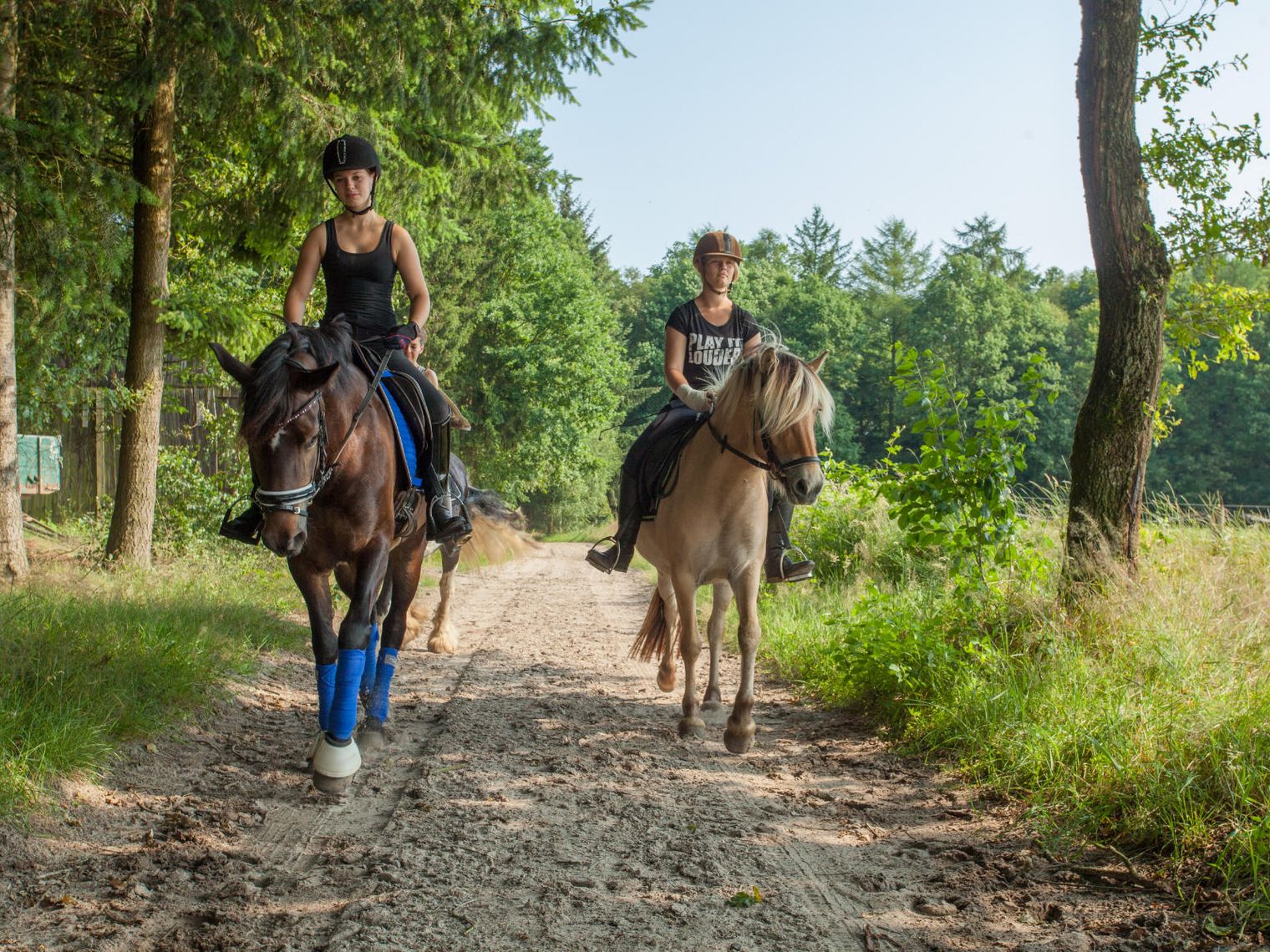 Zwei Personen reiten auf einem Waldweg in der Lüneburger Heide, umgeben von Bäumen und grüner Vegetation