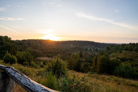 Sonnenaufgang am Totengrund über hügeliger Landschaft mit grünen Büschen und Holzgeländer im Vordergrund